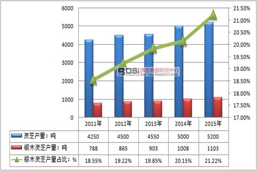2011-2015年中國(guó)椴木靈芝產(chǎn)量及占比